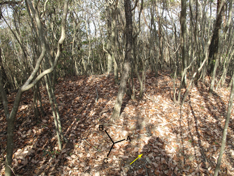 20140103hike (209)